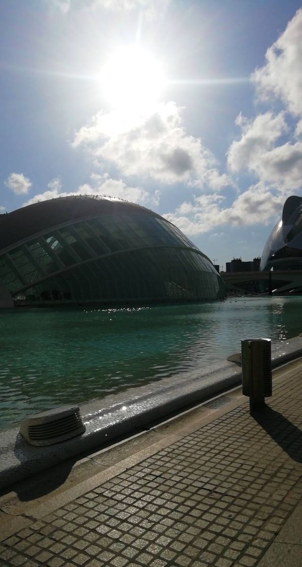 Place Ciudad de las Artes y las Ciencias