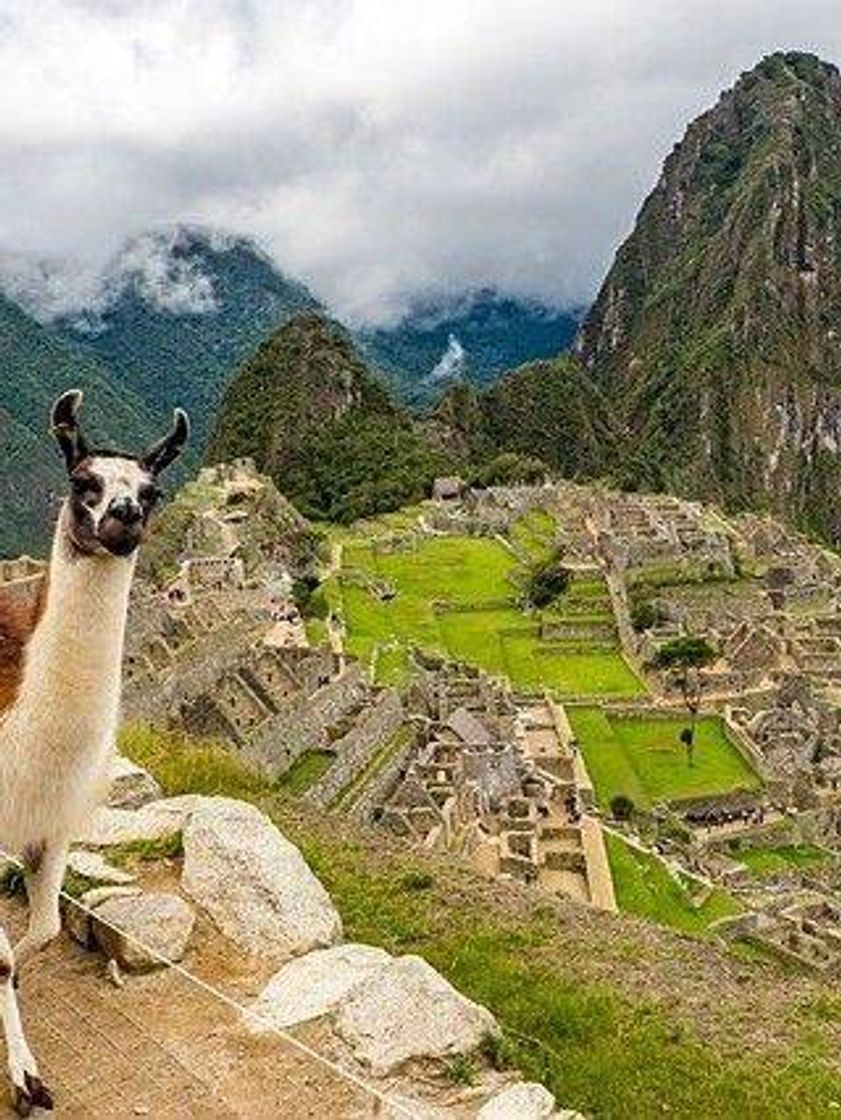 Place Machu Picchu