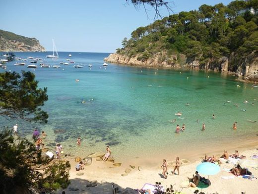 Playa Cala Aiguablava