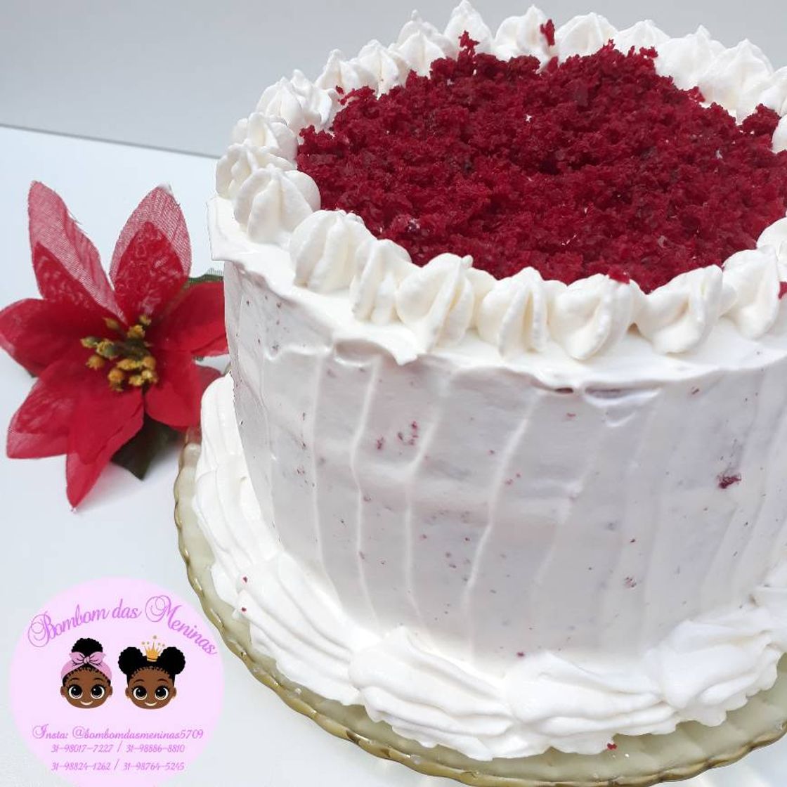 Moda Bolo red velvet 