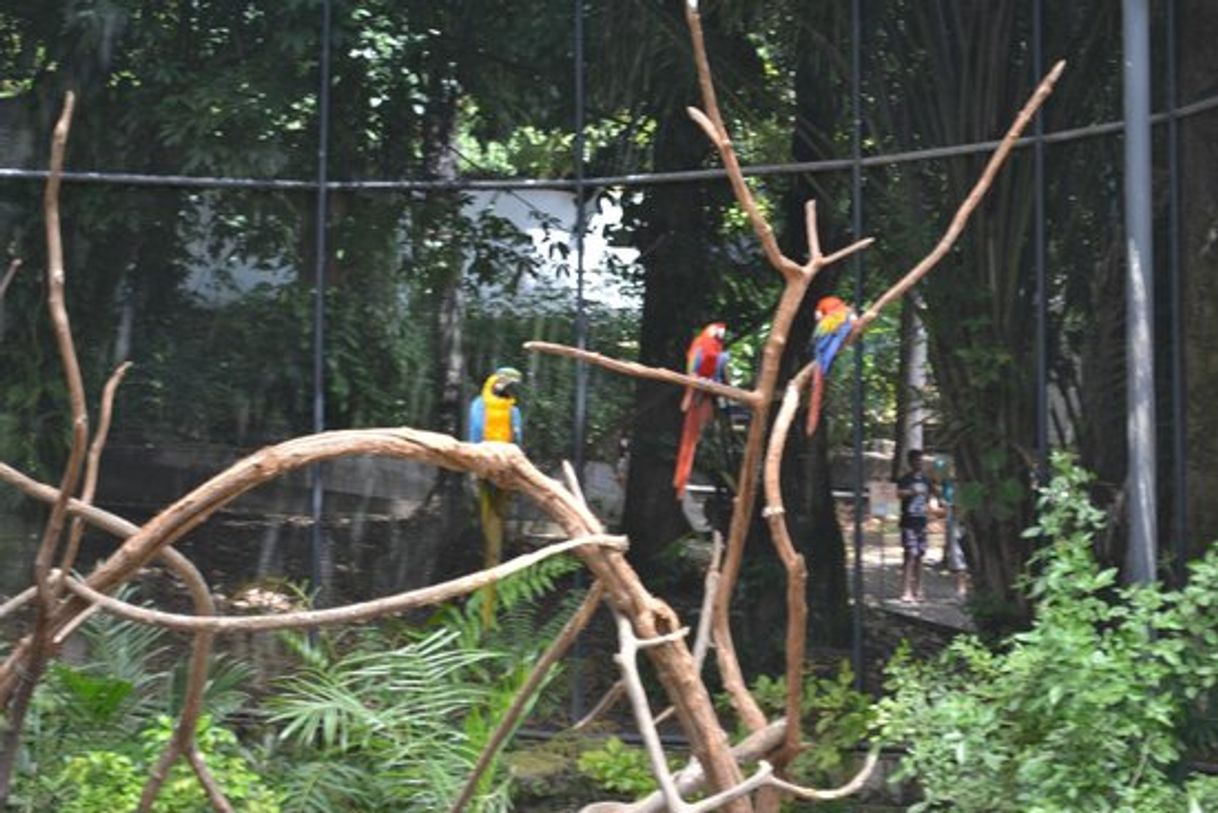 Place Parque Zoobotânico Arruda Câmara (Bica)