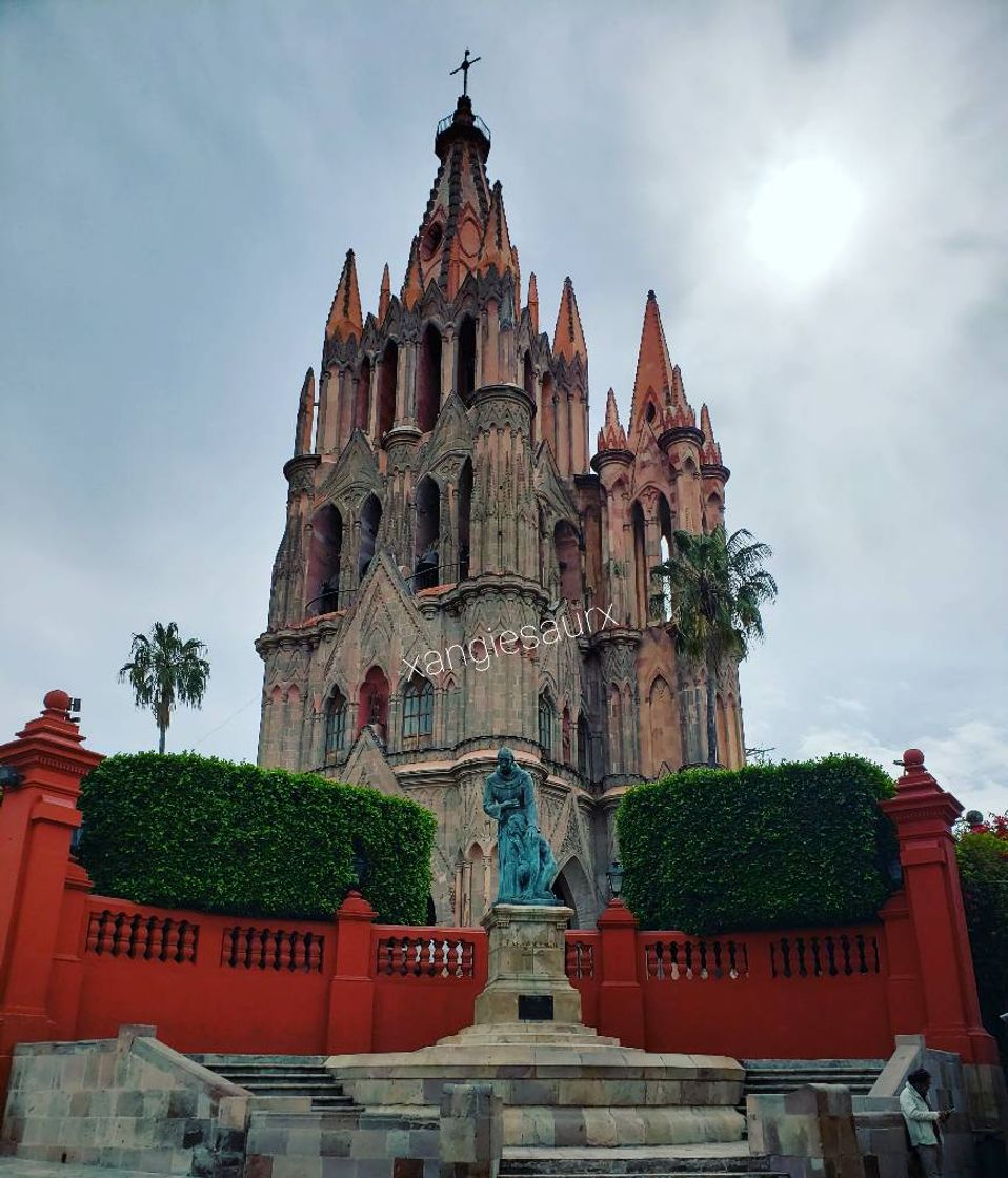 Place San Miguel de Allende