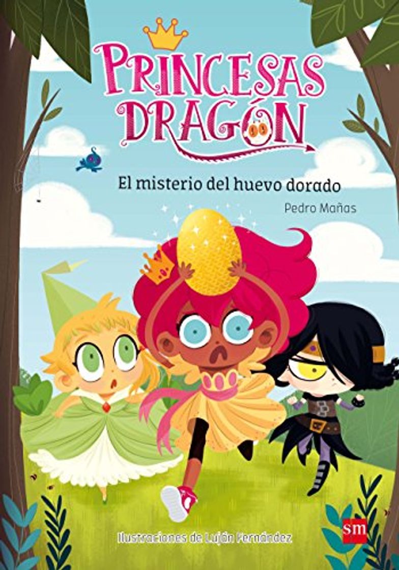 Book Princesas Dragón: El misterio del huevo dorado