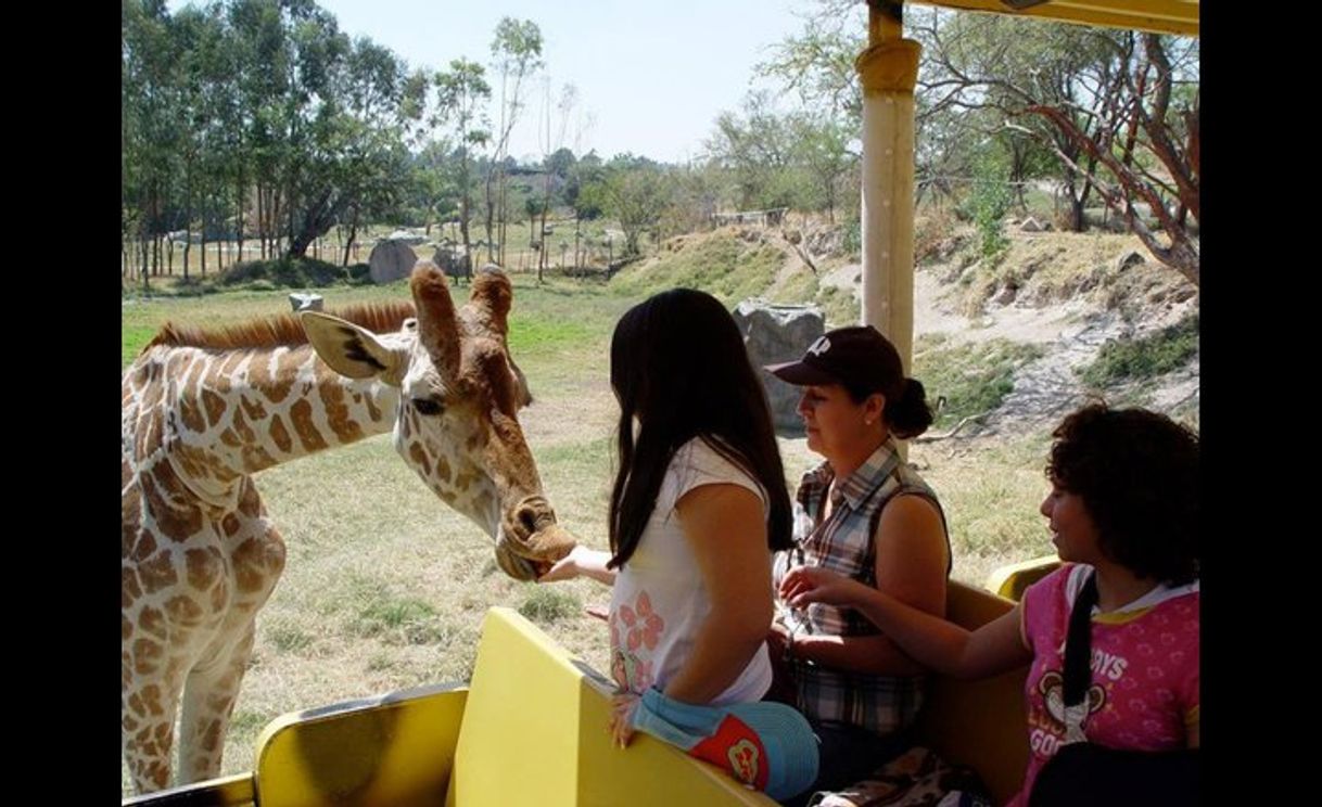 Lugar Zoológico Guadalajara