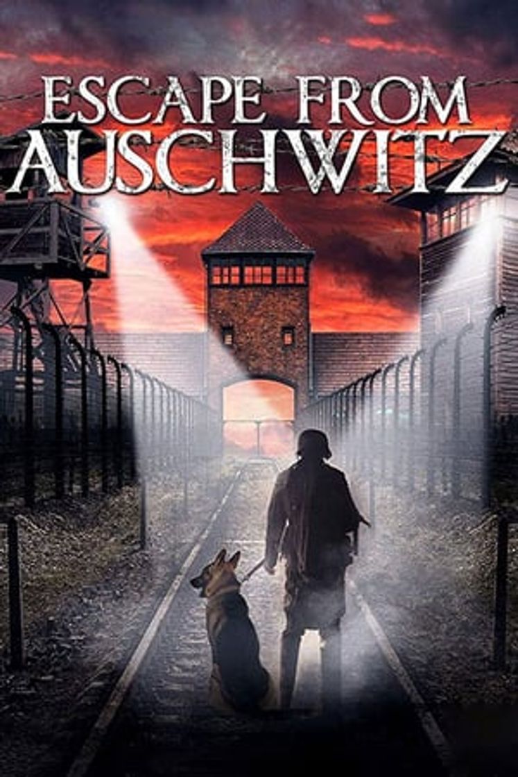 Movie The Escape from Auschwitz