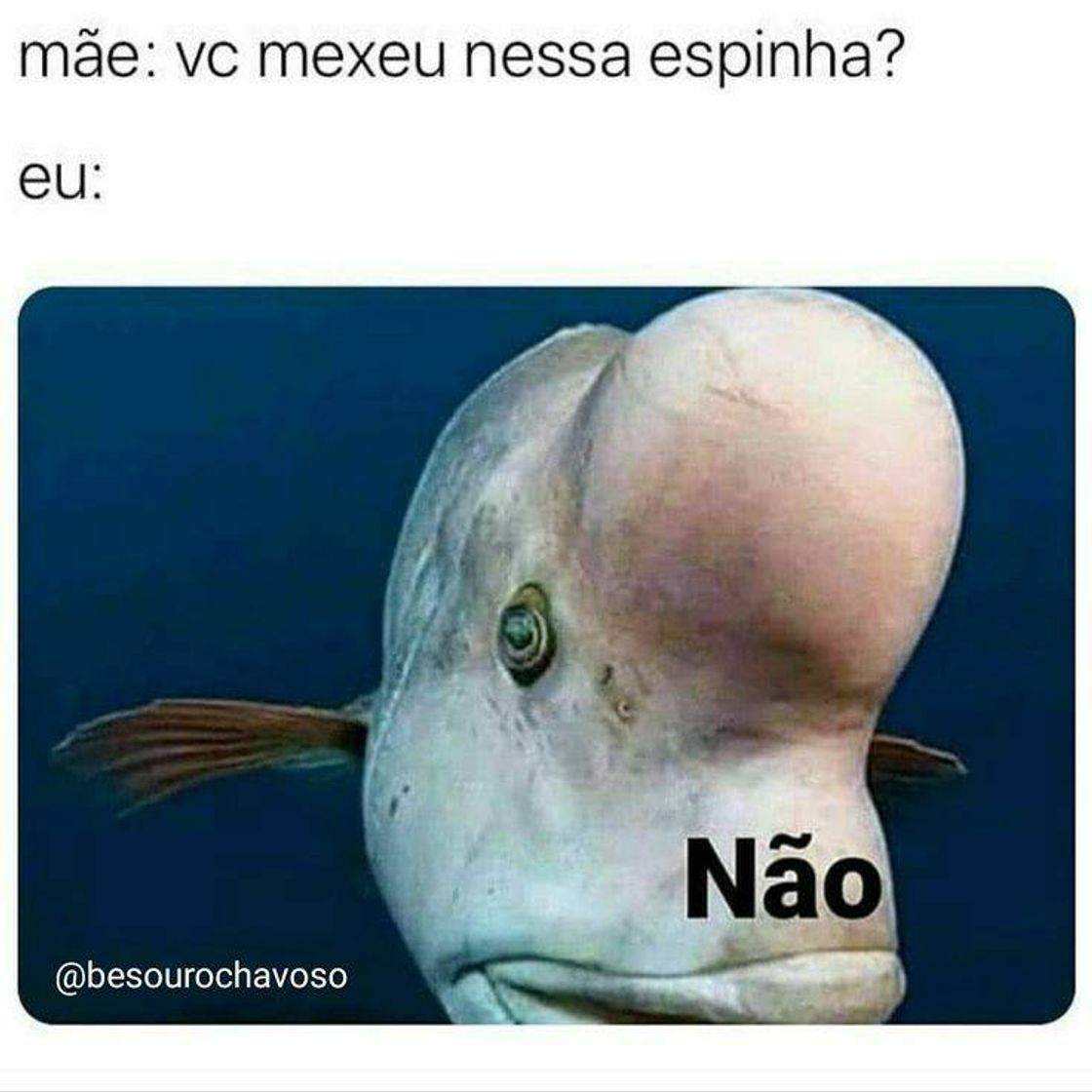 Fashion Não heheh 