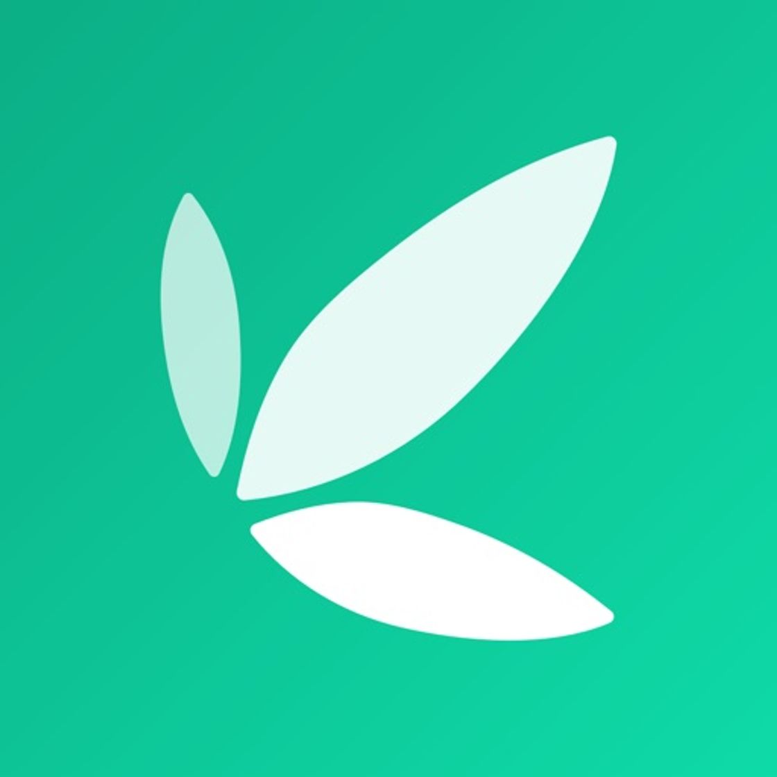 App Bamboo: Invest. Trade. Earn.