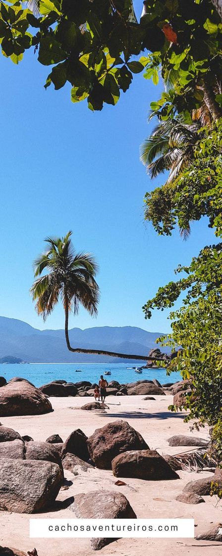 Moda Aventureiro - Ilha Grande 