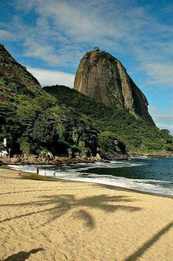 Urca