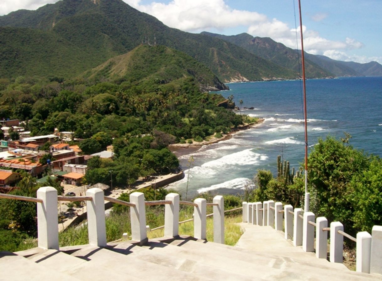Lugar Choroní