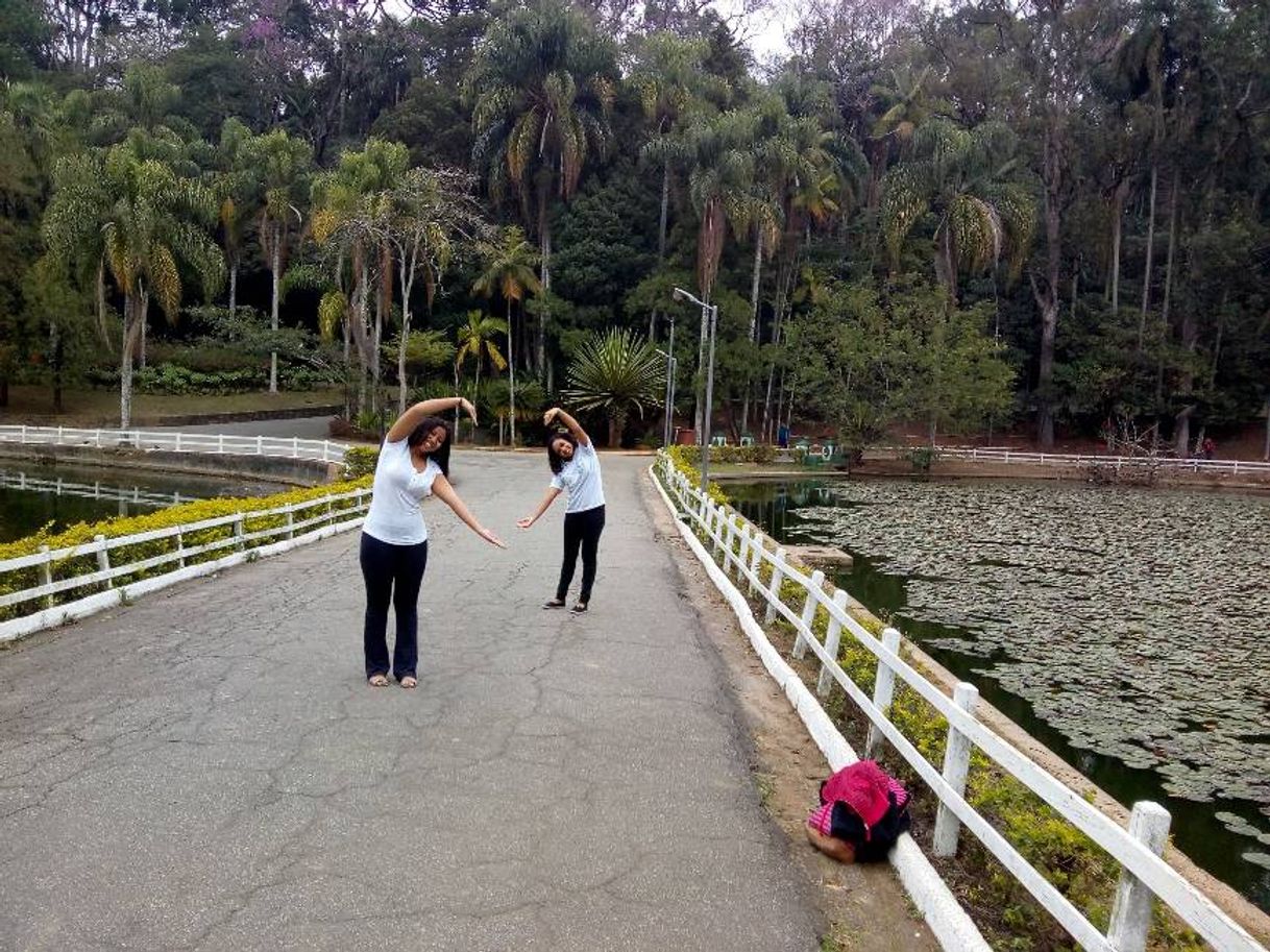 Lugar Horto Florestal-Sao Paulo