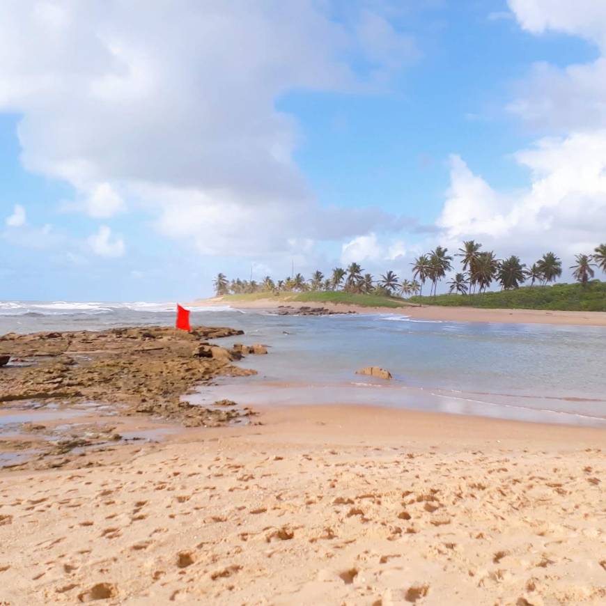 Restaurantes Porto de Sauipe Turismo