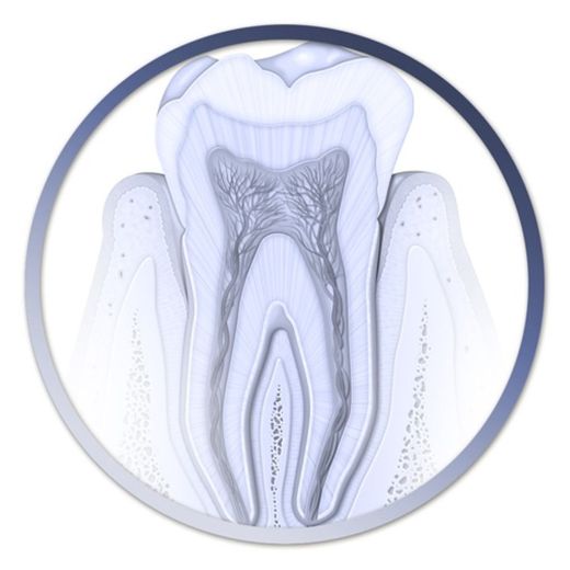 Atlas Odontología