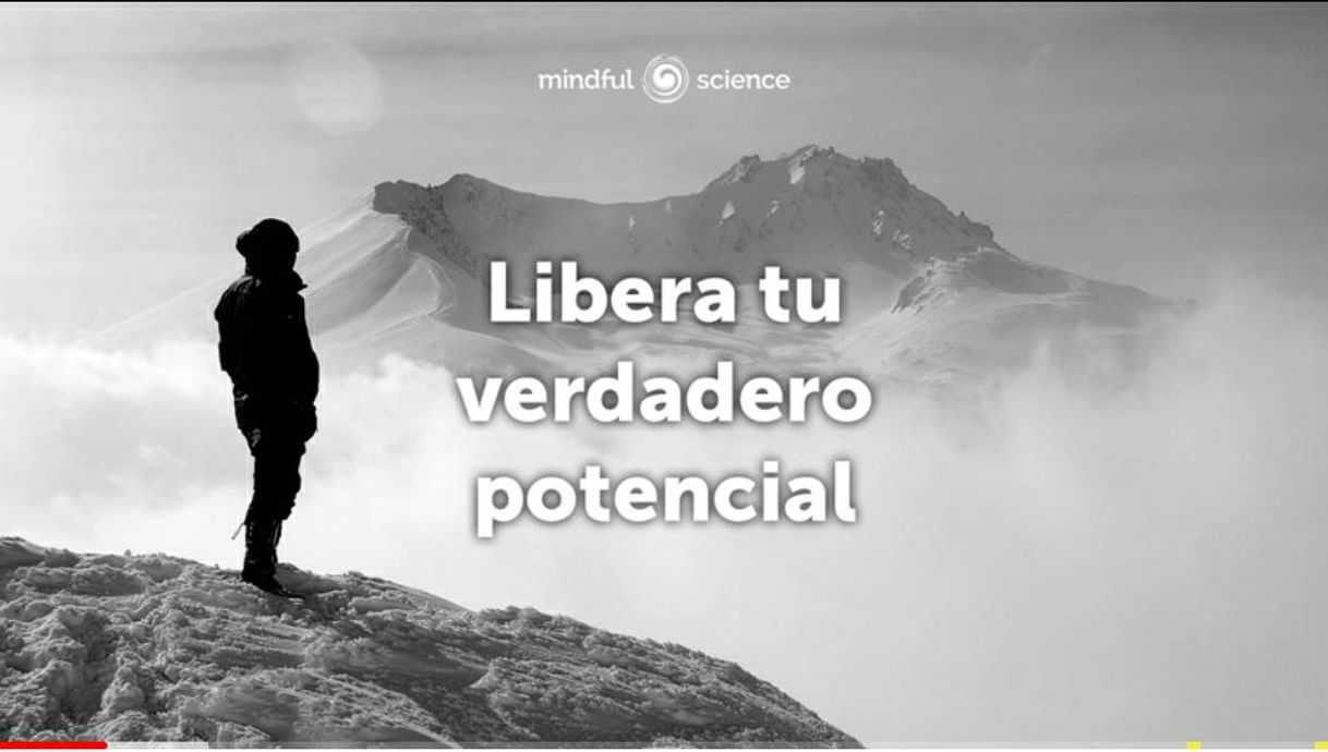 Moda Libera tu potencial y logra tus objetivos vitales - YouTube