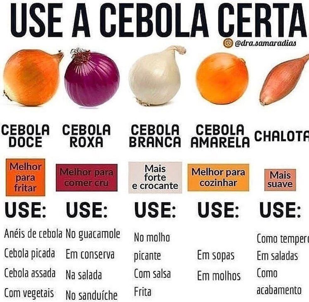 Fashion USE A CEBOLA CERTA