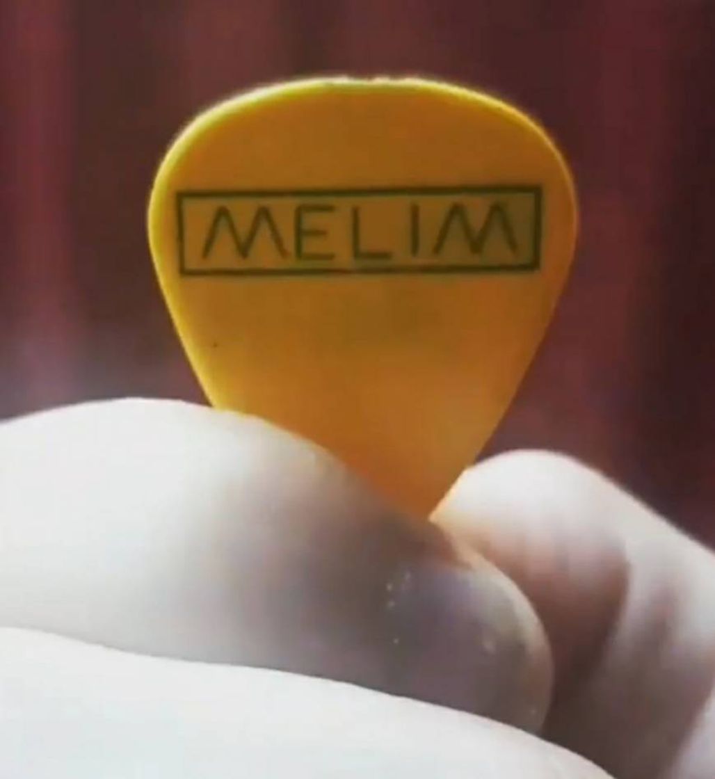 Social Show Melim ✨