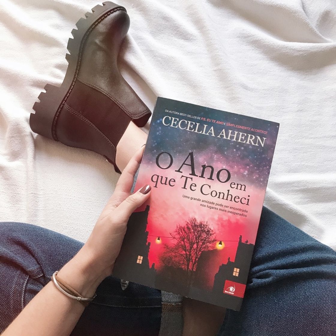 O ano em que te conheci