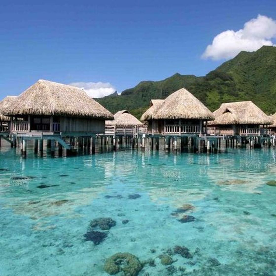 Lugar Moorea