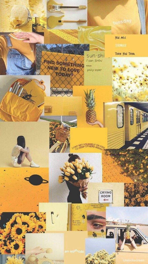 Social 🌻✨