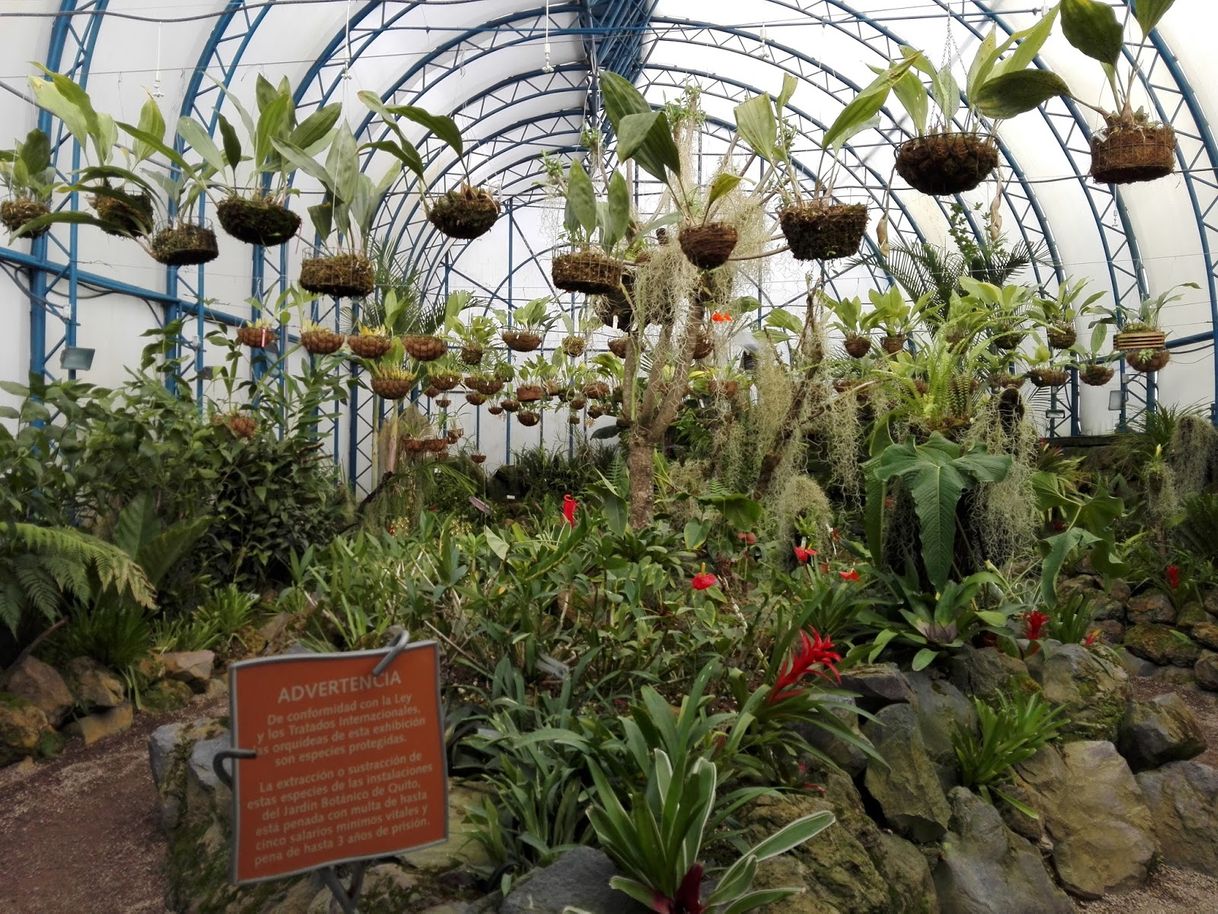 Place Jardín Botánico de Quito