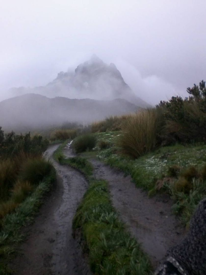 Place Rucu Pichincha