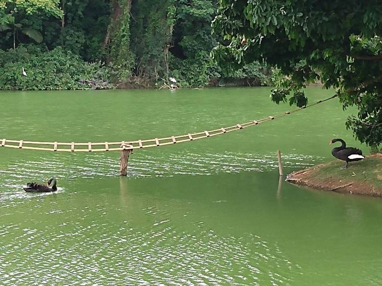 Lugar Zoológico de Sorocaba