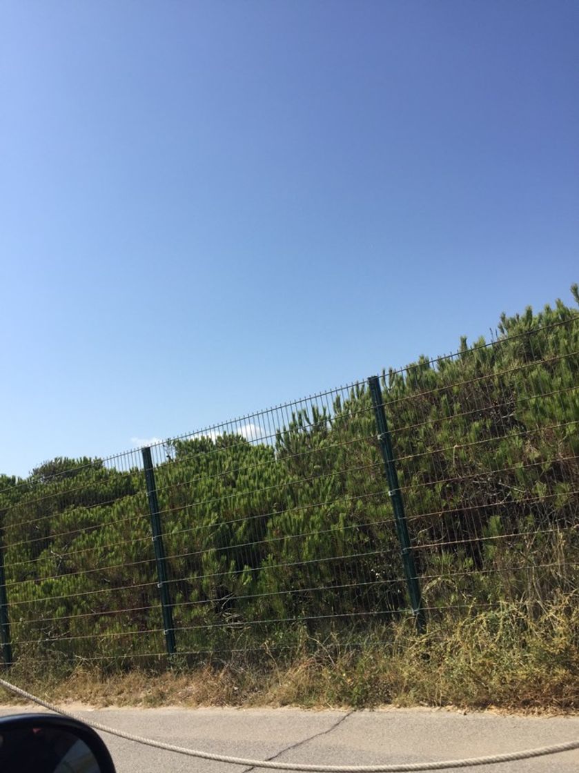 Lugar El Prat De Llobregat