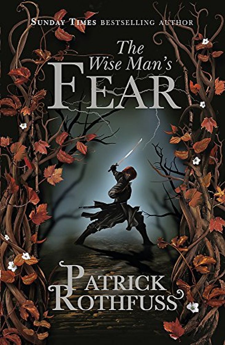 Libro The Wise Man's Fear: The Kingkiller Chronicle: Book 2