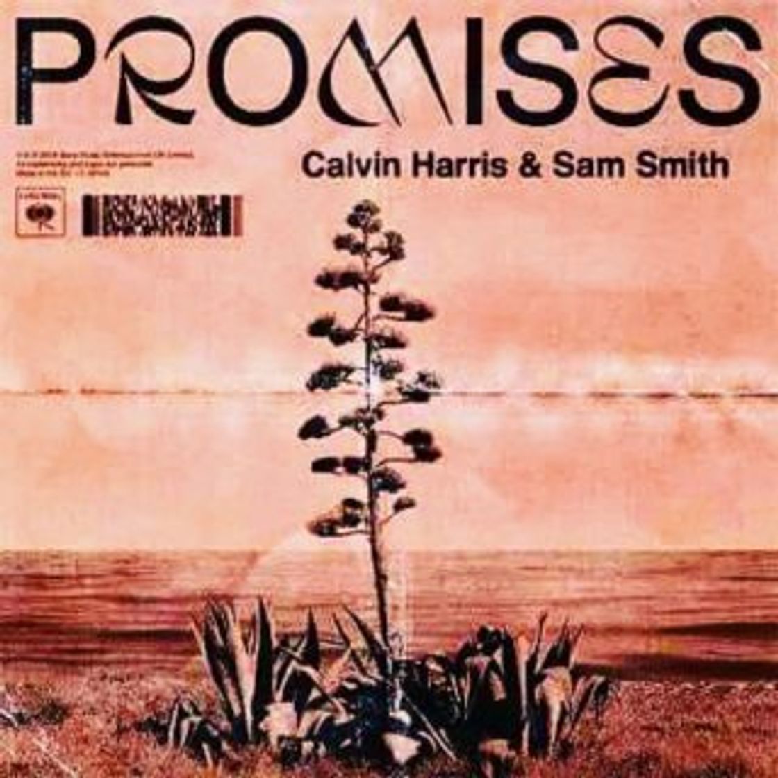 Canción Promises (with Sam Smith)