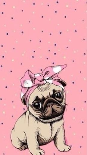 Pug de lacinho 🎀