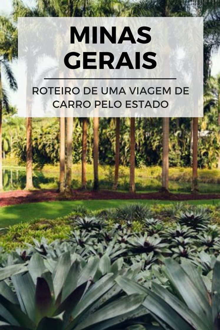 Lugar Roteiro da nossa Road Trip em Minas Gerais - Viagem em Detalhes