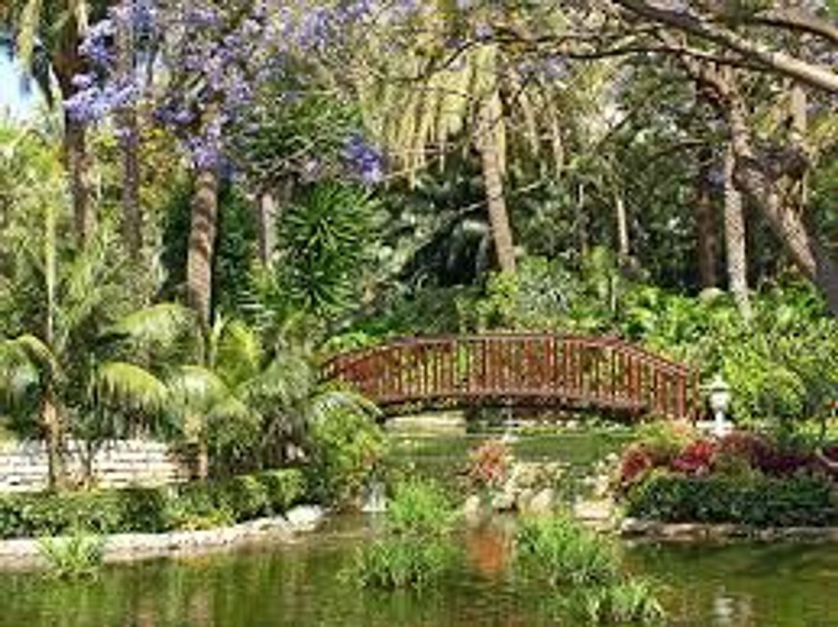Place Jardín Botánico