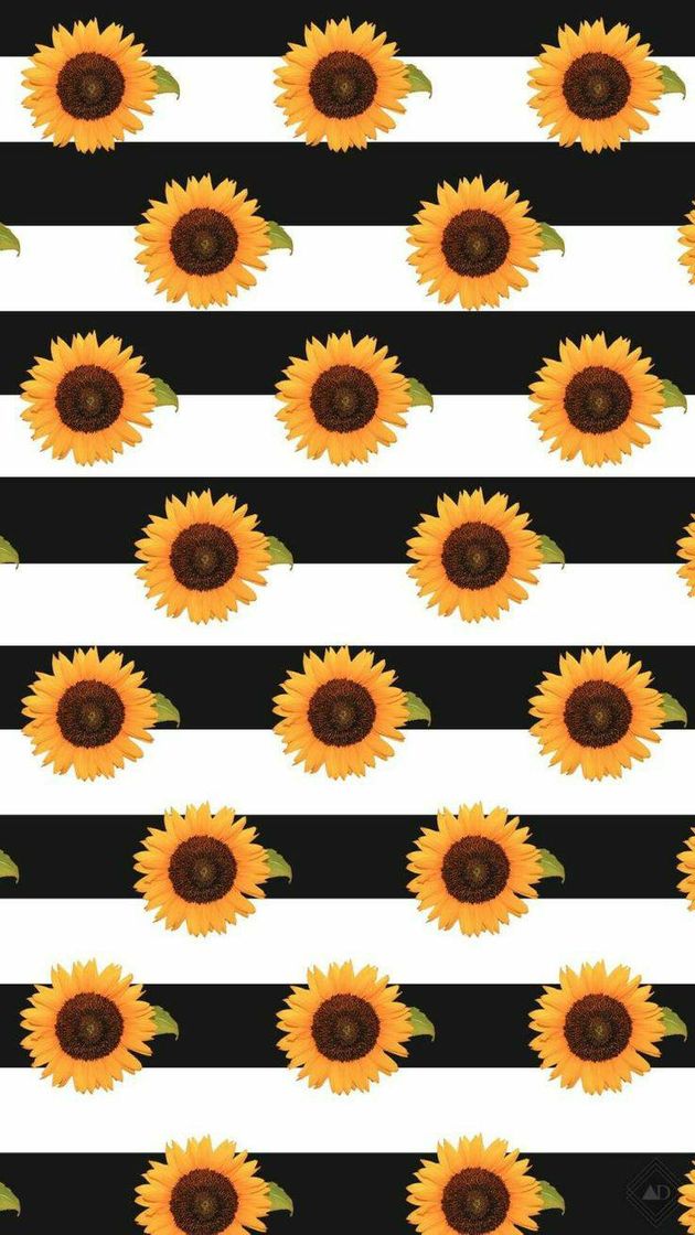 Moda Wallpaper (🌻🤍🖤) soft