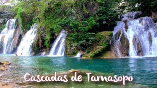 Cascadas de Tamasopo