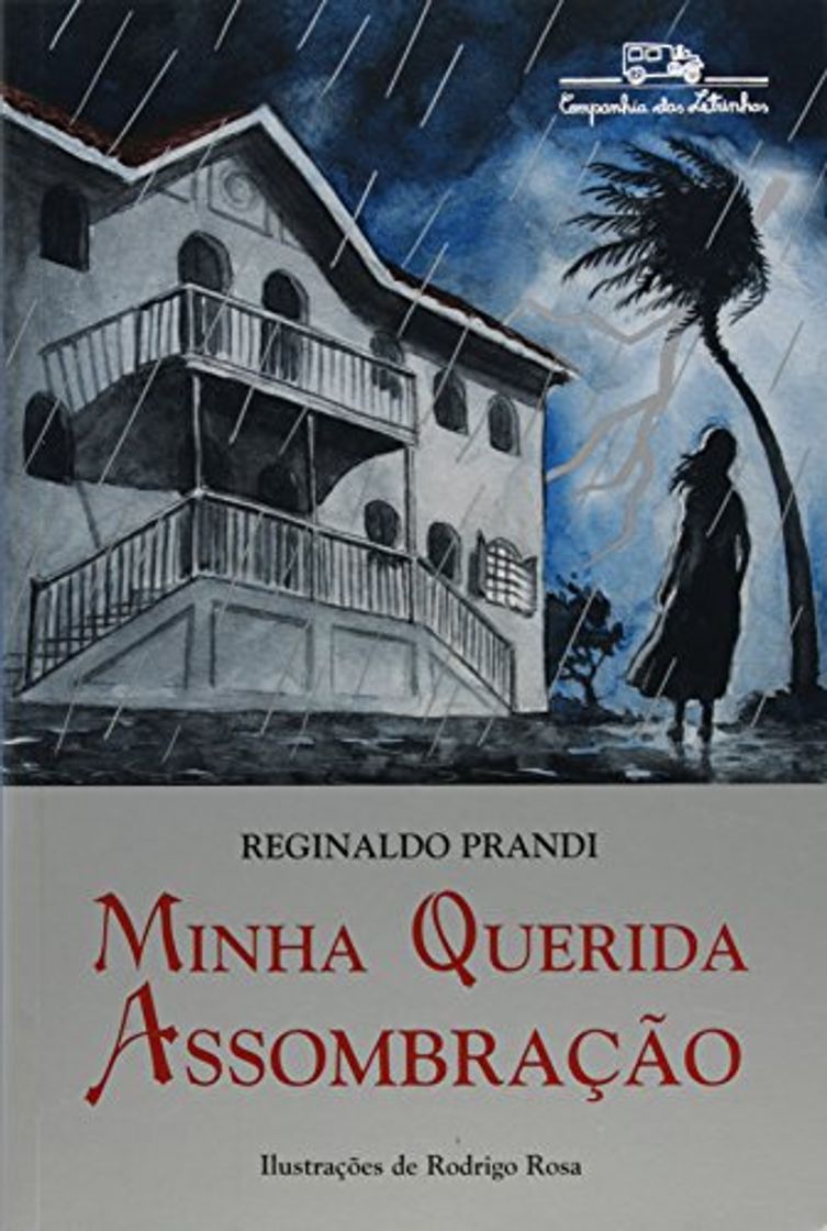 Book Minha Querida Assombração