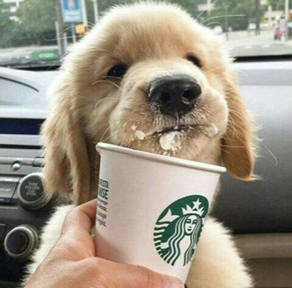 🐕