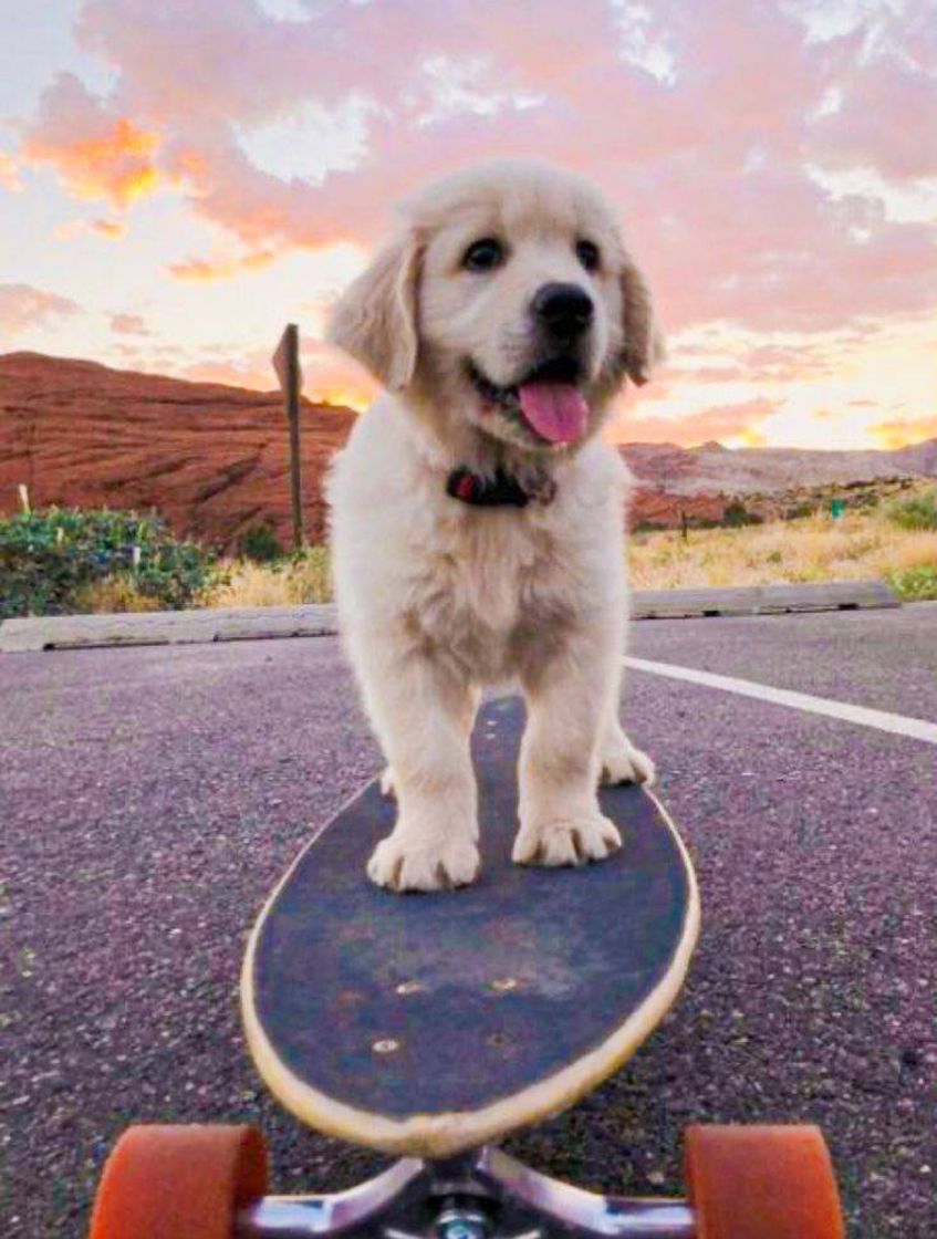 🐕