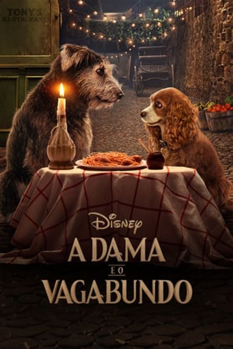 Película La dama y el vagabundo