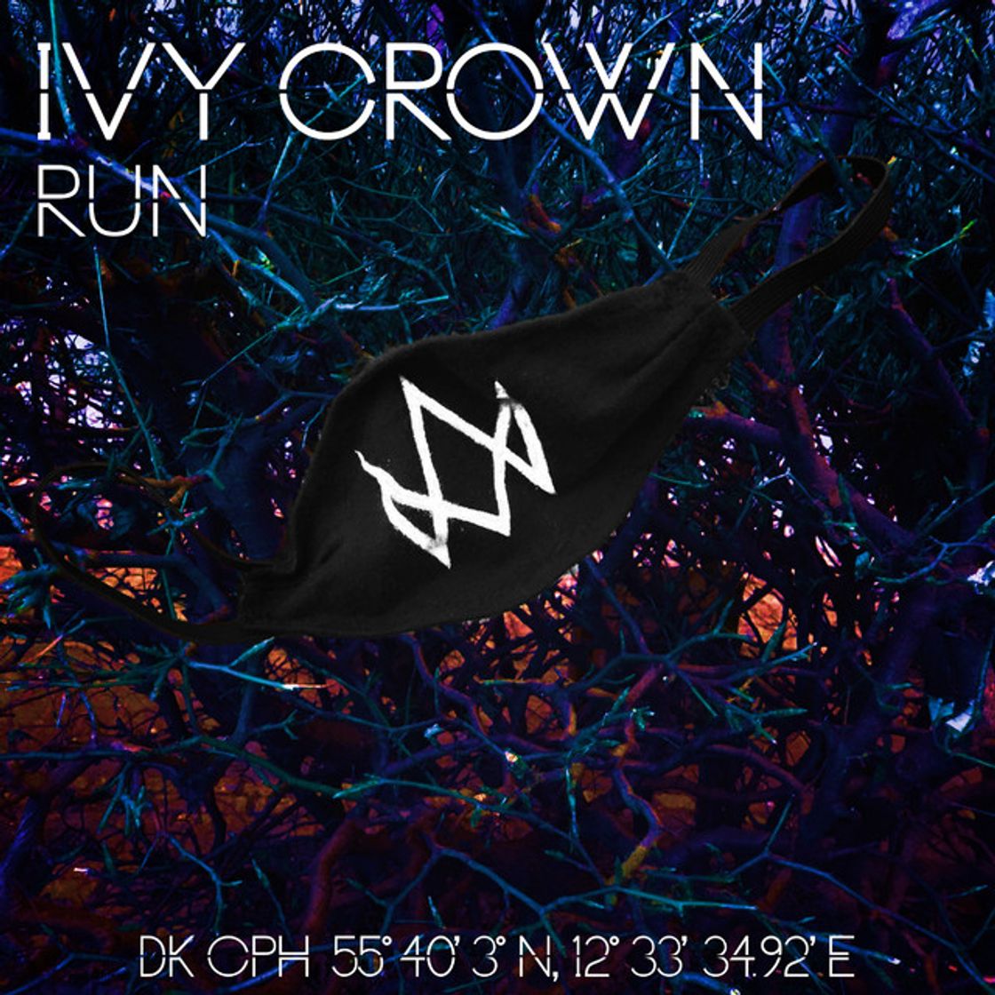 Canción Run