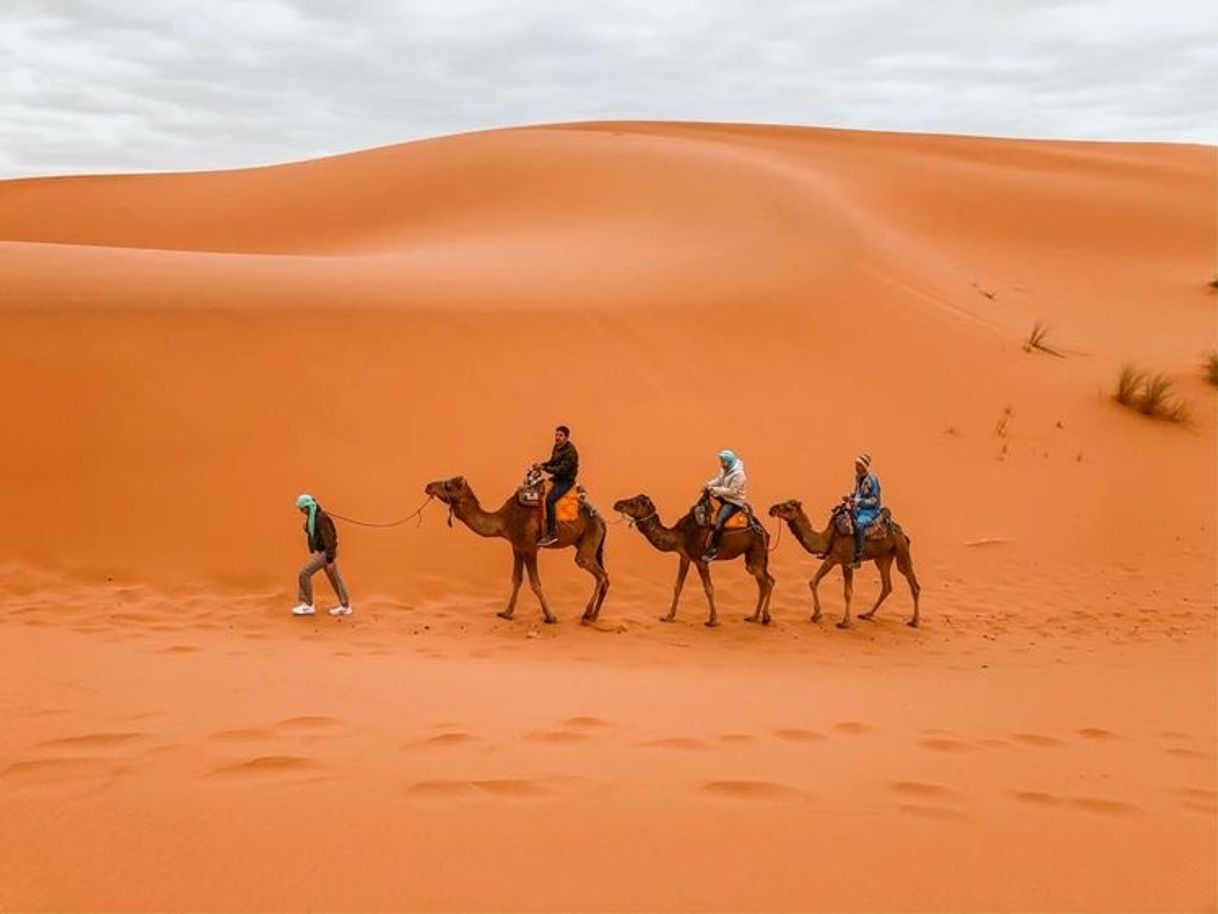 Moda Deserto do Saara