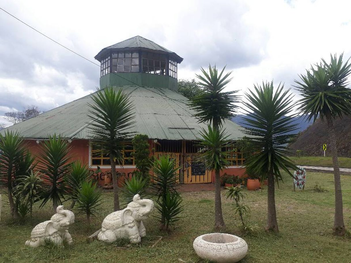 Restaurantes Restaurante Francés Le Petit Jardin