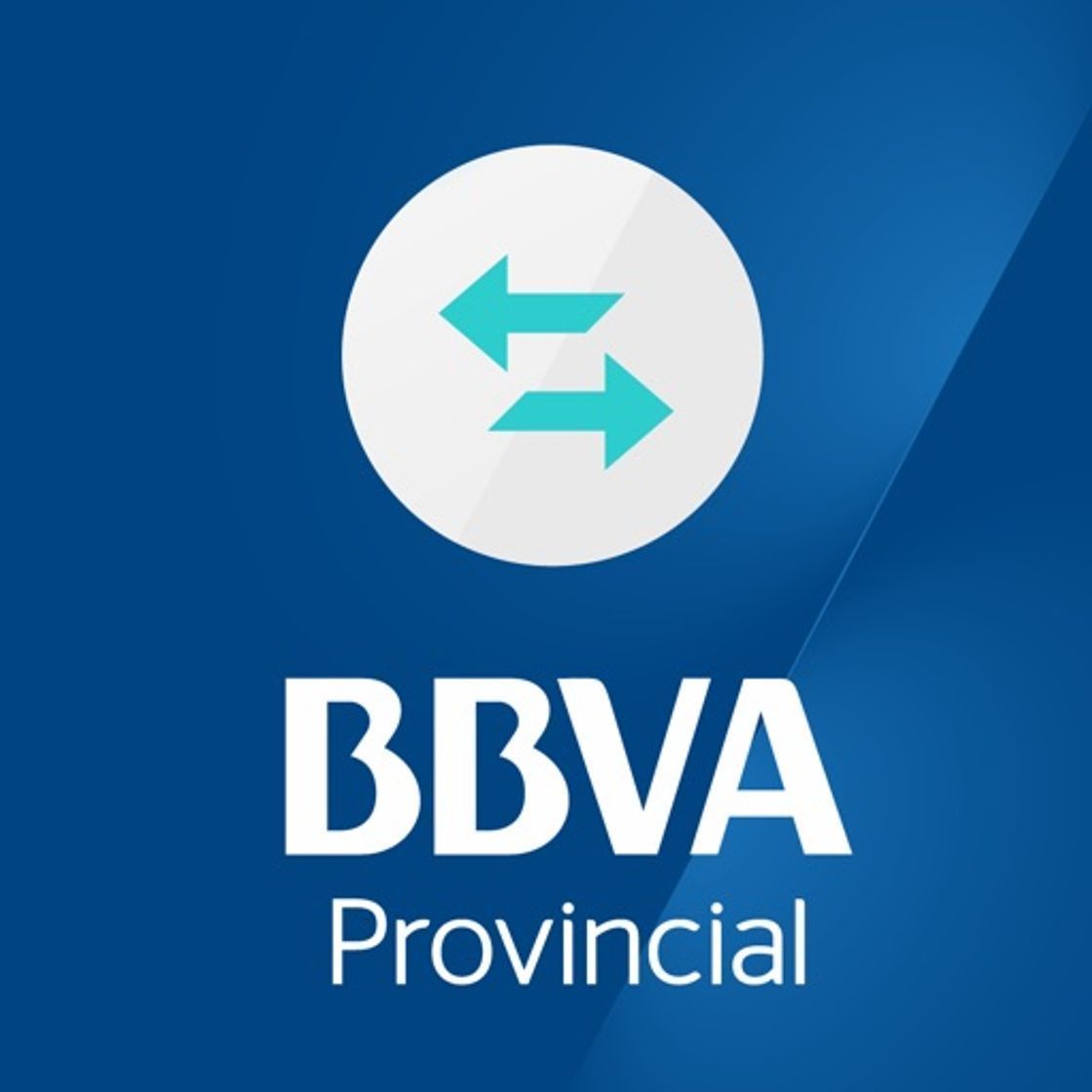 App BBVA Provincial Dinero Rápido