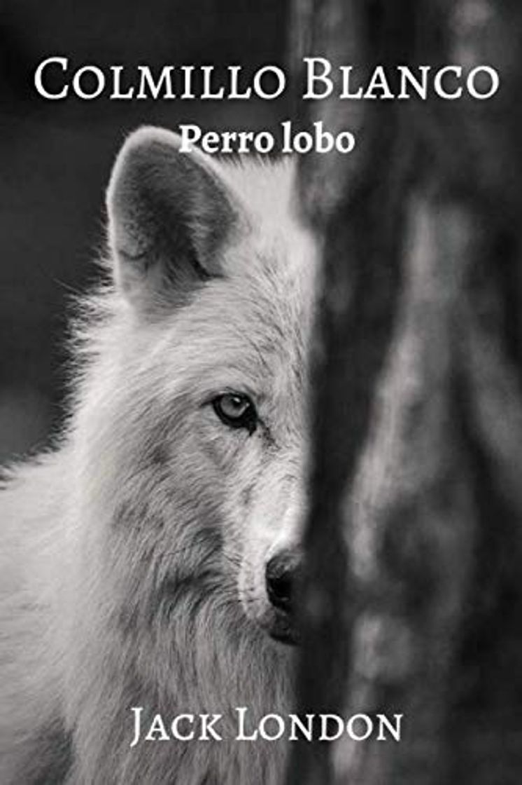 Book Colmillo Blanco: Perro lobo