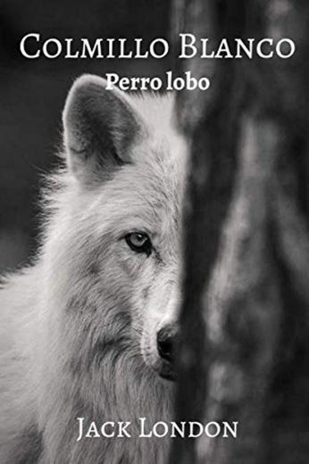 Colmillo Blanco: Perro lobo