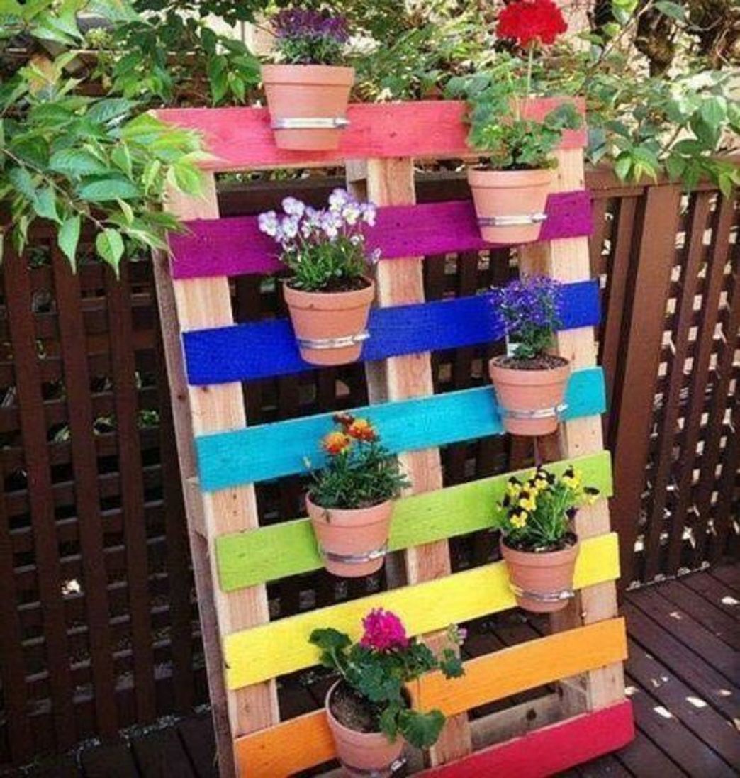Social jardinagem 
