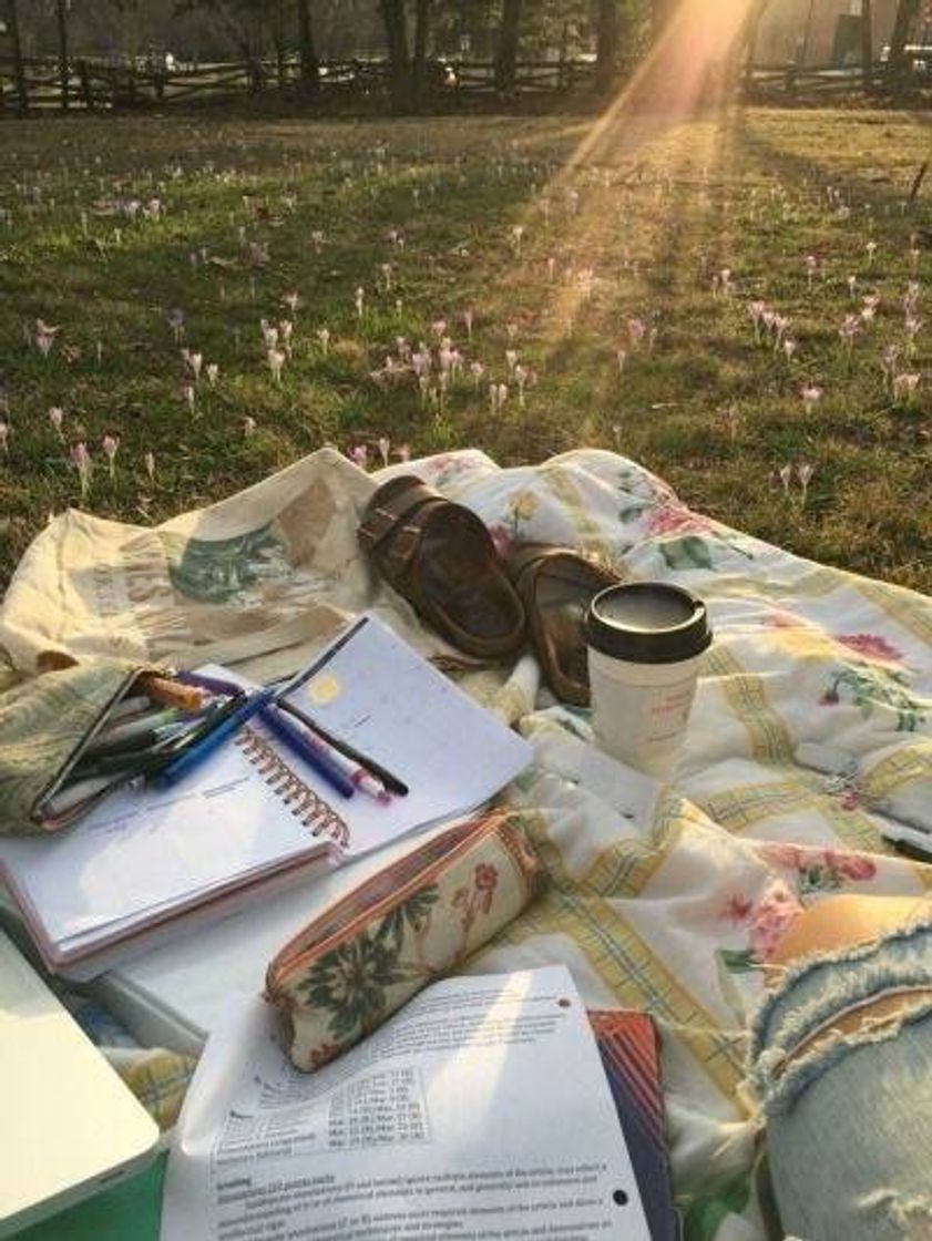 Social Study Inspiration