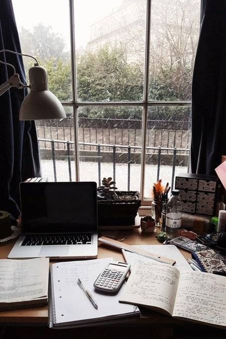 Social Study Inspiration