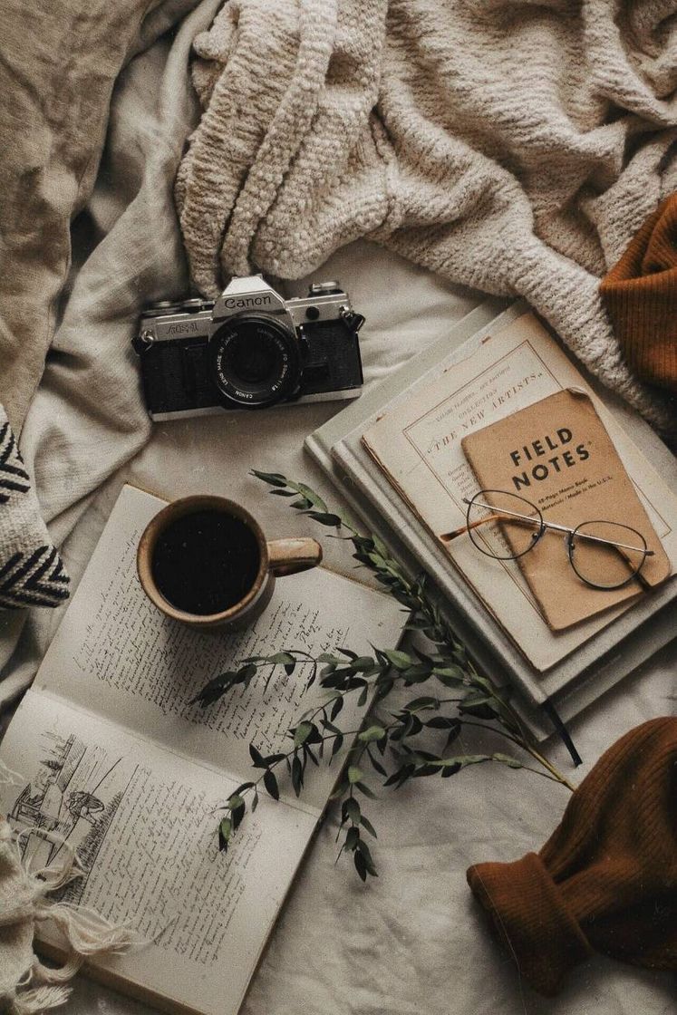 Social Study Inspiration