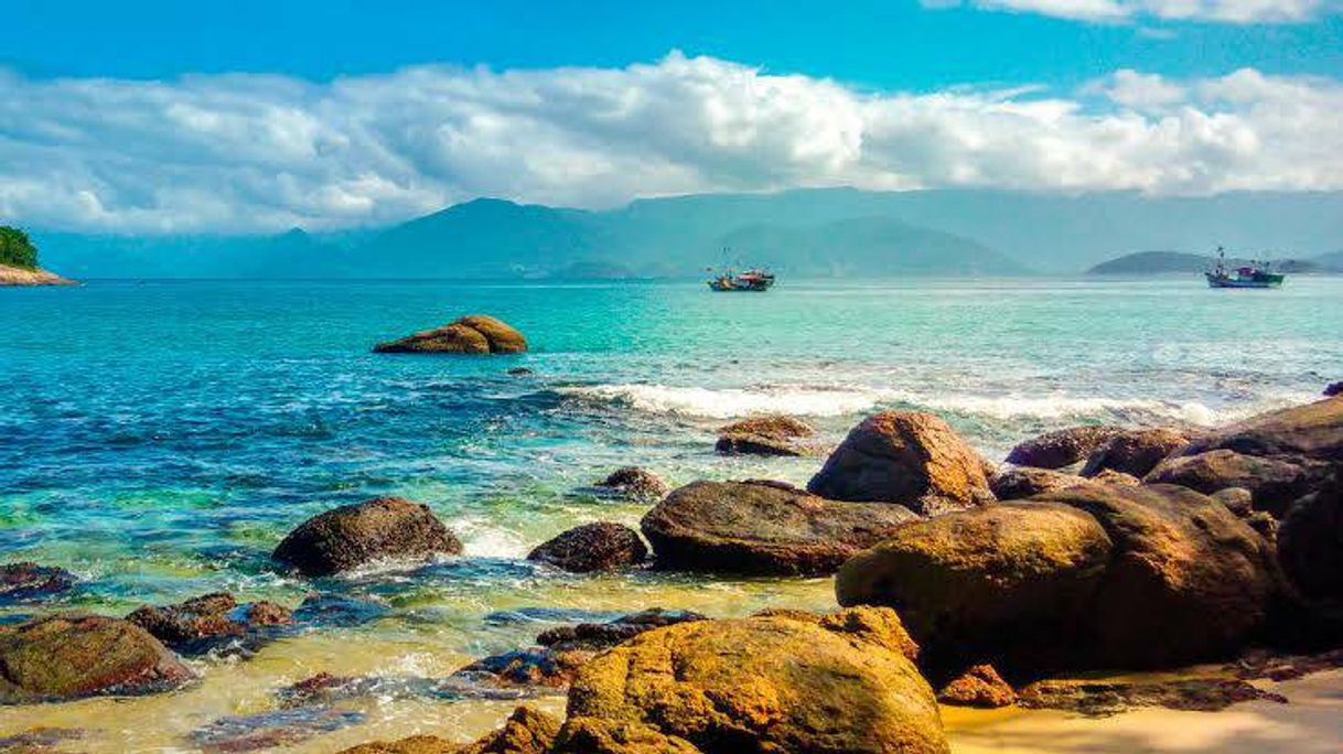 Social Ubatuba 2021: Best of Ubatuba, Brazil Tourism - Tripadvisor