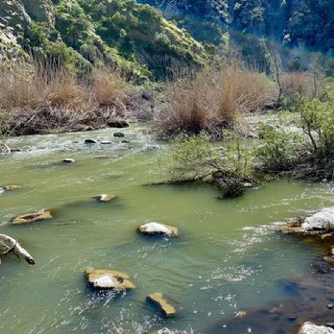 Lugares Azusa River Wilderness Park